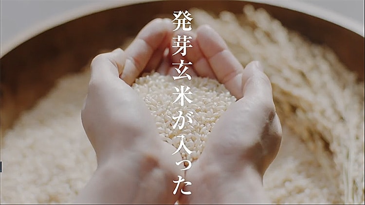 【日本直邮】日本 朝日 ASAHI 玄米系列 80Kcal 抹茶焦糖玄米夹心饼干 54g