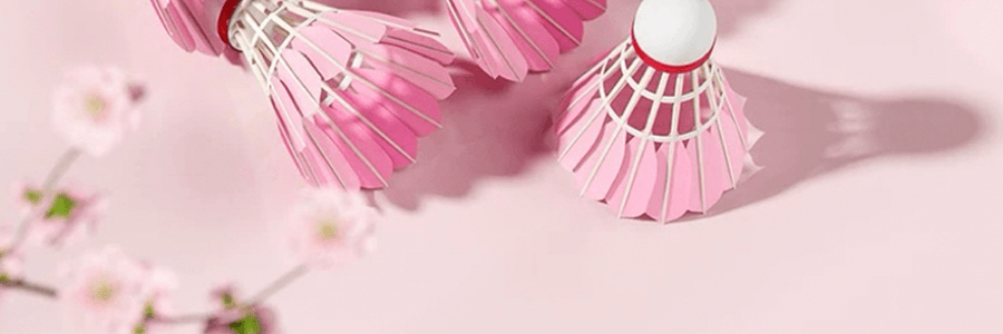 FLAGLOADS弗格兰诗 粉色羽毛球 超轻训练羽毛球运动 耐打耐用防风 6个装