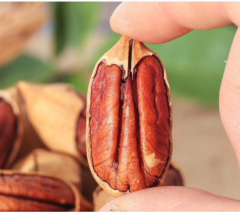 鮮記 碧根果348g