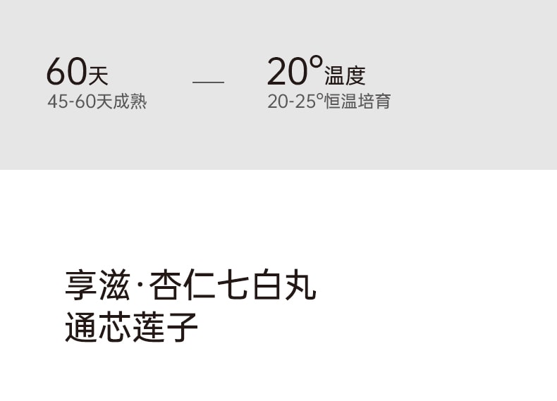 【中國直郵】享滋 杏仁七白丸320g/罐杏仁蓮子百合粉養生丸子