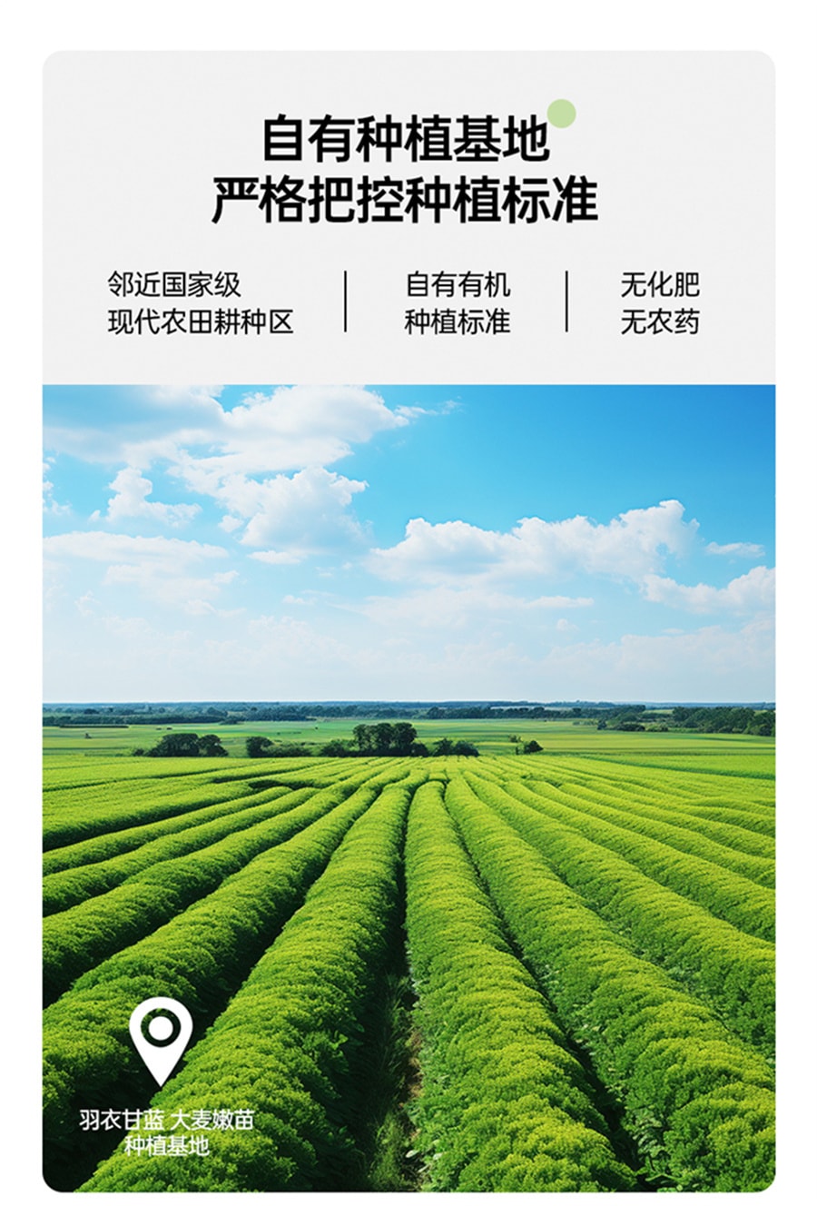 【中国直邮】onlytree 16果蔬液体沙拉代餐膳食纤维升级版NFC蔬菜复合果汁饮料 80g/袋