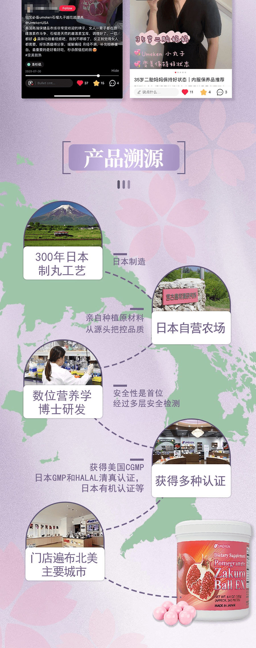 【Made in 】 Pomegranate Zakuro Ball EX 180g / Women Health / Antioxidant / Skin Beauty Immune/ Healthy Aging