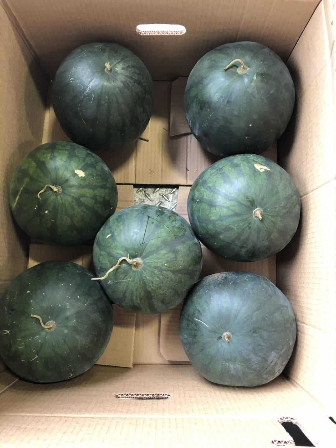 四季蔬果 黑美人西瓜(一个约7-8磅)