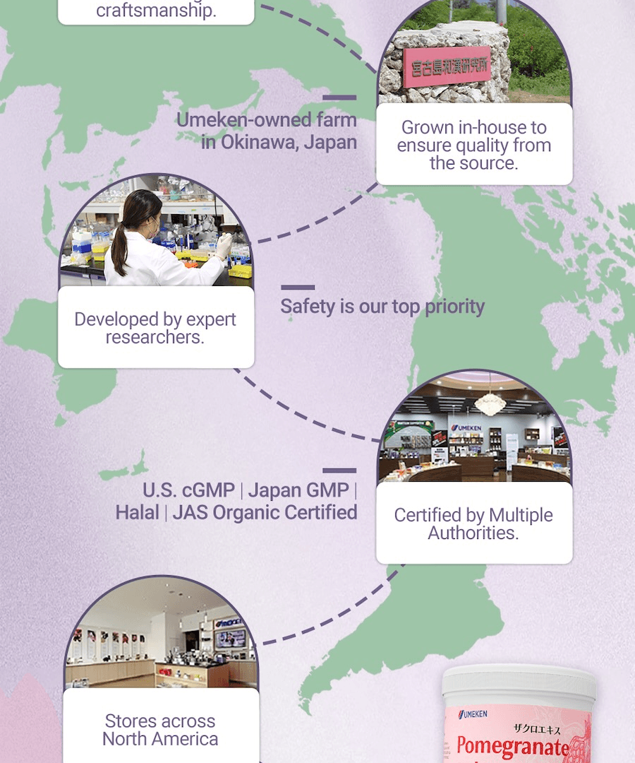 日本 UMEKEN 【 新升等】石榴濃縮丸 2個月量【韓亞航空熱銷機艙免稅商品】【日系🌸咀嚼型小丸子保養更輕鬆】【 內調外養】【 美肌抗老】美容養顏改善氣色提亮膚色】