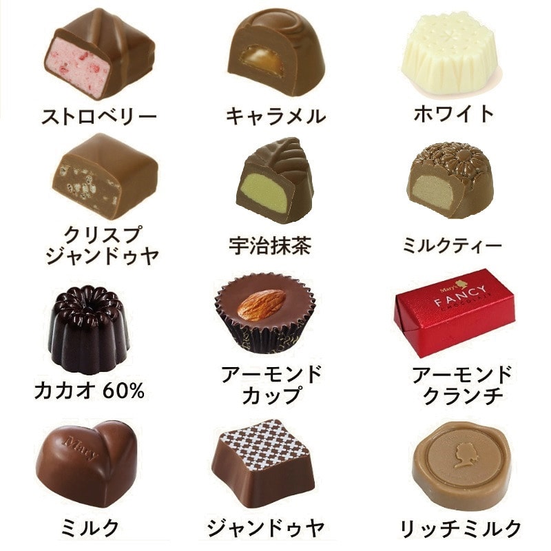 【日本直郵】MARY'S 經典巧克力禮盒伴手禮 12枚入