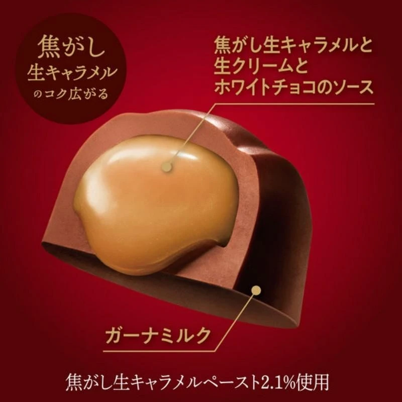 日本 日本樂天 期間限定 加納巧克力 特製奢華版 生焦糖夾心口味松露球巧克力 49g