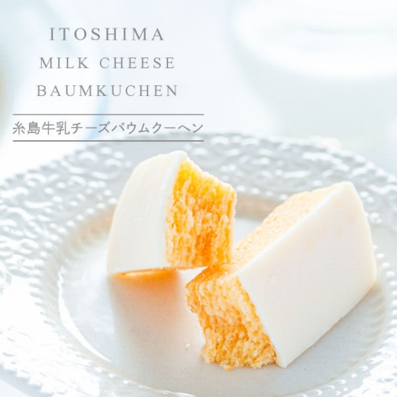 【日本直邮】日本博多特产 系岛 鲜奶巧克力年轮条 4枚装