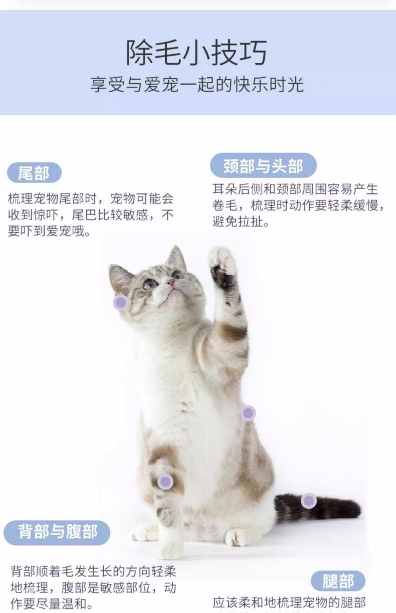 得乐 【15mm弹性电镀钢针】 宠物梳毛刷 1个  猫狗专用清洁护理除毛按摩神器宠物按摩梳 深入毛发祛毛去浮毛开结【一键伸缩推板设计】 天青色