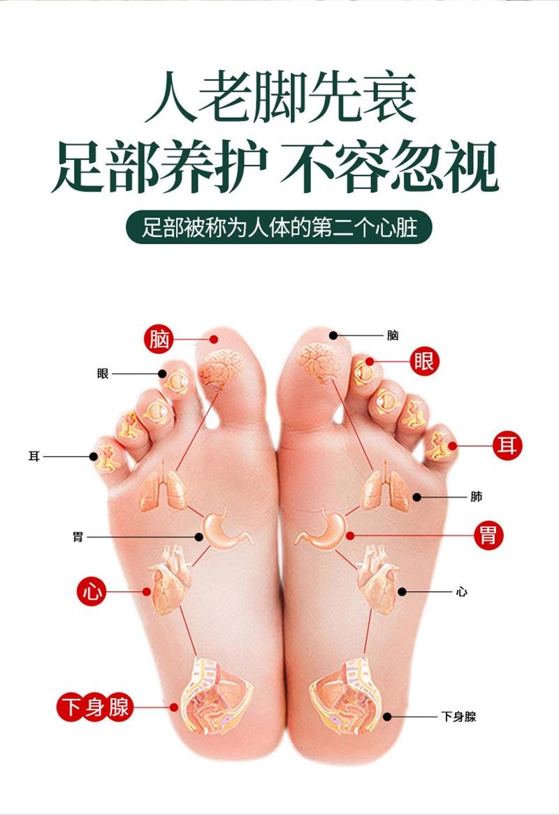 【中国直邮】 FOXTAIL 穴位袜子 足疗 脚底 脚部 脚穴位反射区图 按摩袜 足底经络穴位套装-39码 1双*|预计到达时间3-4周