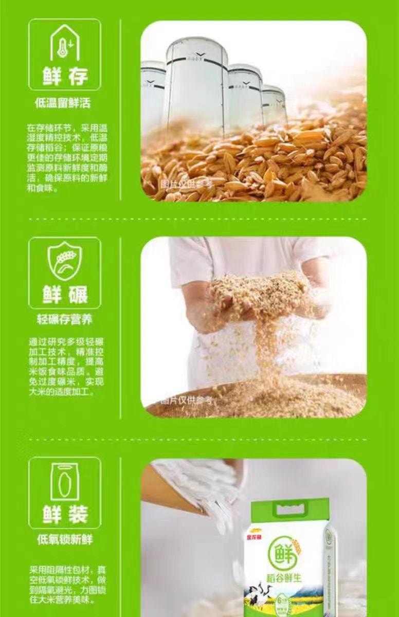 【中国直邮】 金龙鱼 稻谷鲜生大米500g*1袋