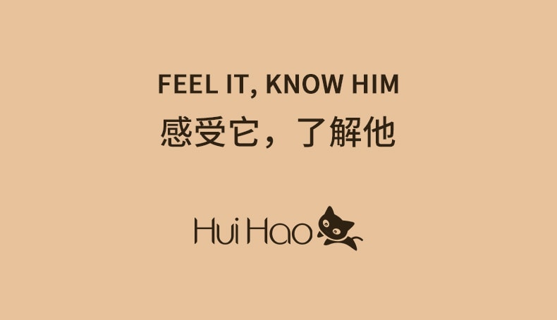 中國 HuiHao 匯豪液晶顯示負離子直髮器無線直髮梳 黑色 1件