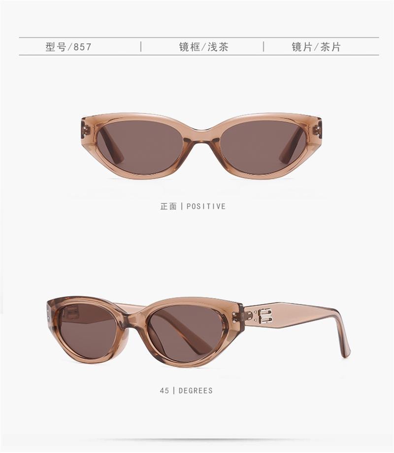 【中國直郵】 ZARA 新款復古貓眼墨鏡男女防紫外線開車太陽眼鏡 黑框黑灰片 1個裝
