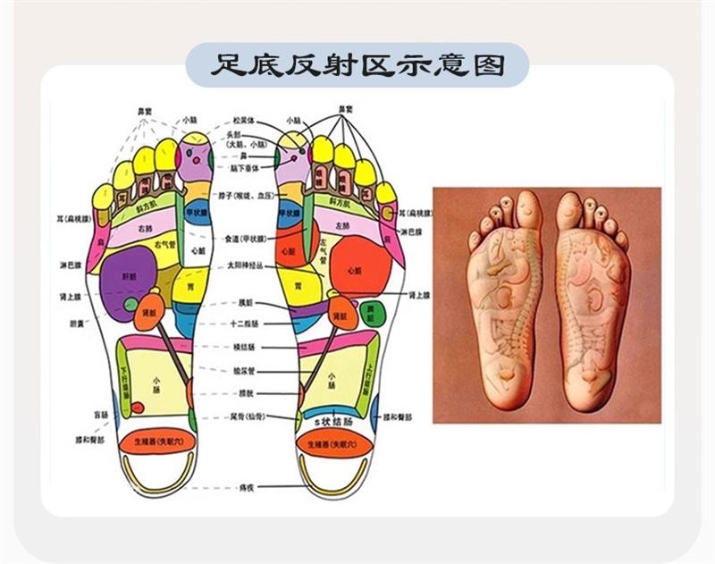 In-situ jogging shiatsu board foot massage cushion running cushion feet unclogging meridians Pink [Diameter 40cm] 1 set