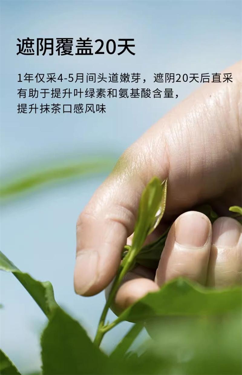 【中国直邮】 闽贵 欧标纯抹茶粉 冲饮小包装3号生椰牛奶拿铁烘焙店专用 3号30g抹茶
