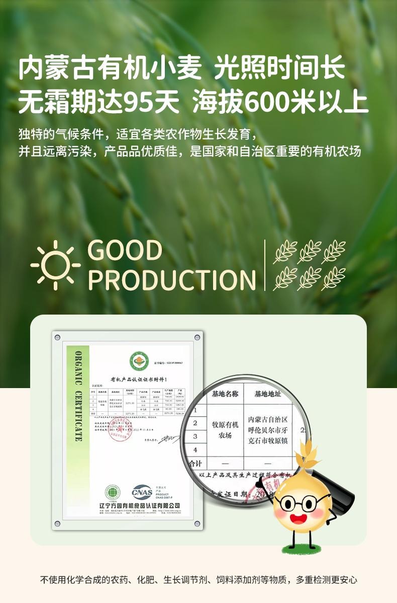 爷爷的农场 有机婴幼儿贝壳面 营养面条无添加200g/盒