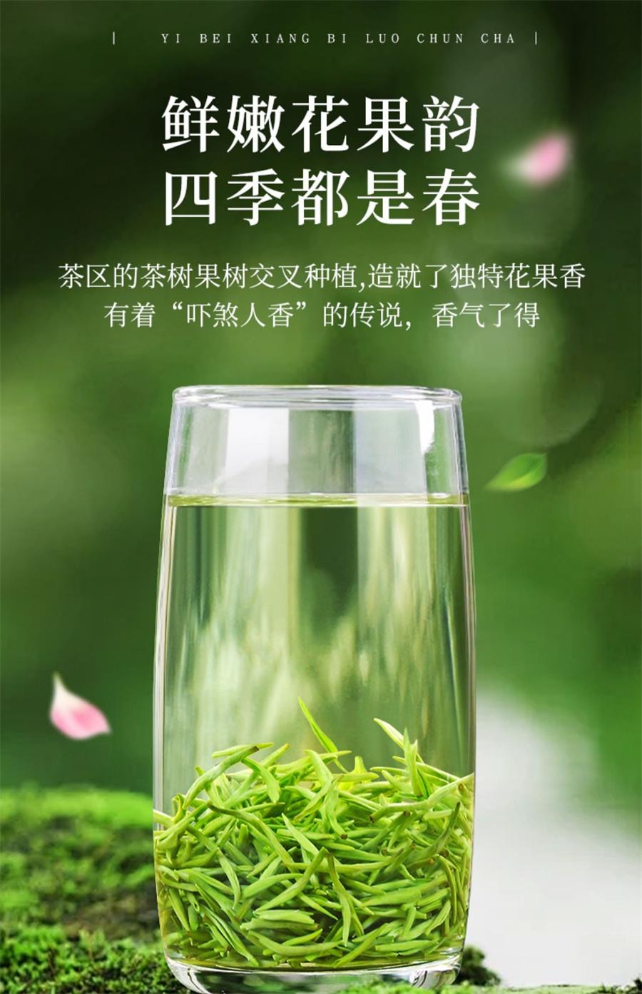 【中国直邮】 一杯香 明前碧螺春茶叶绿茶春茶自己喝新茶浓香  250g/罐