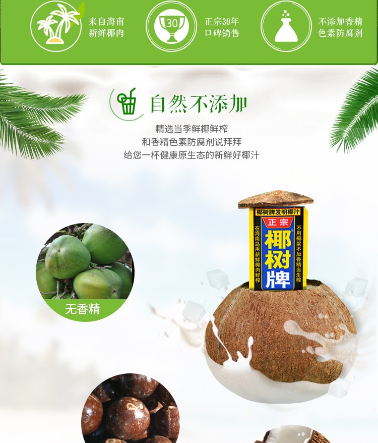Coconut Juice 245ml 6pcs