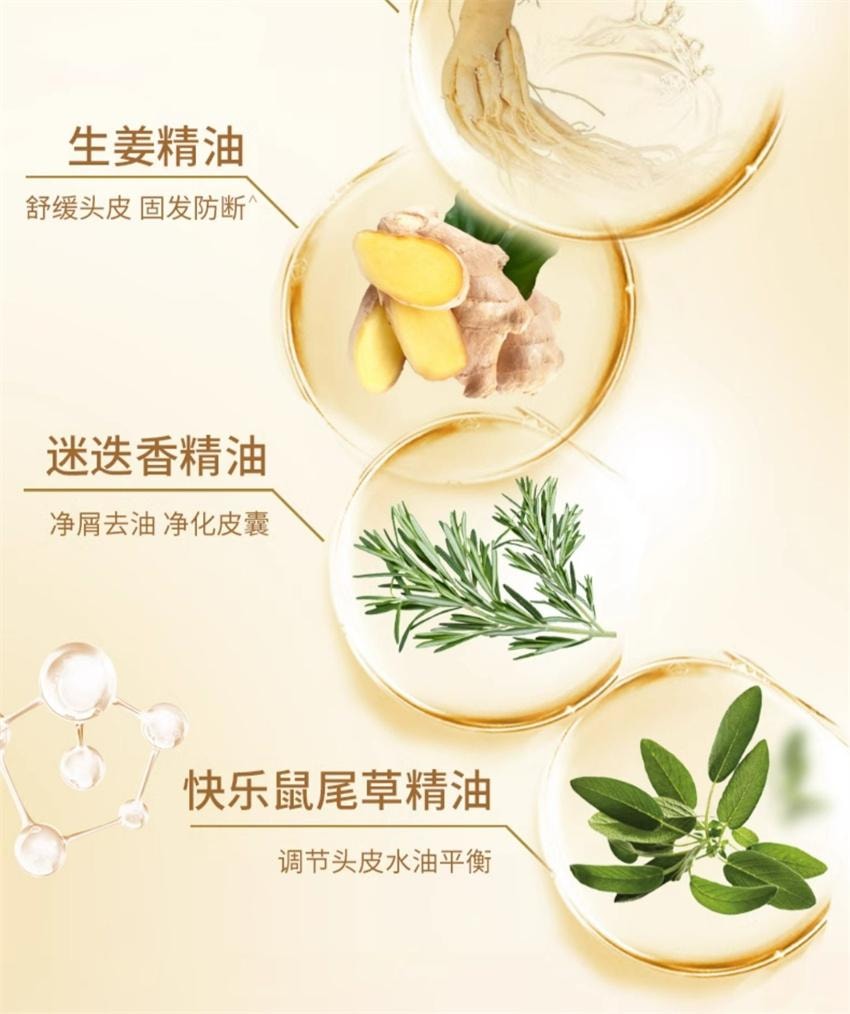【中国直邮】 舒蕾 参姜洗发露 生姜防断发洗发水 固发强韧发丝温和清洁改善受损易断发质 355ml/瓶(胖东来爆款推荐)