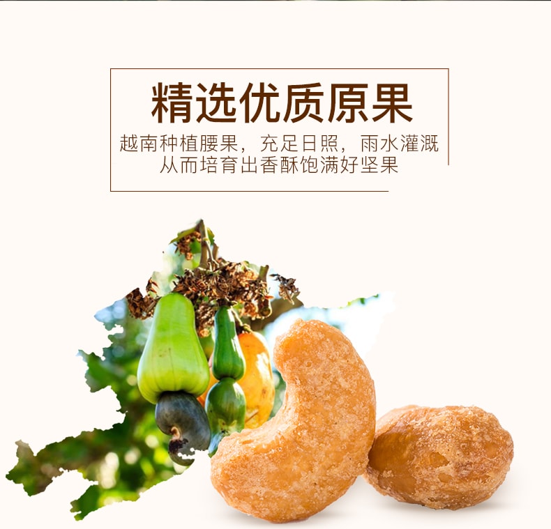 [China direct mail] Herbs charcoal roasted cashew nuts 100g nuts roasted seeds and nuts dried fruit specialty products d