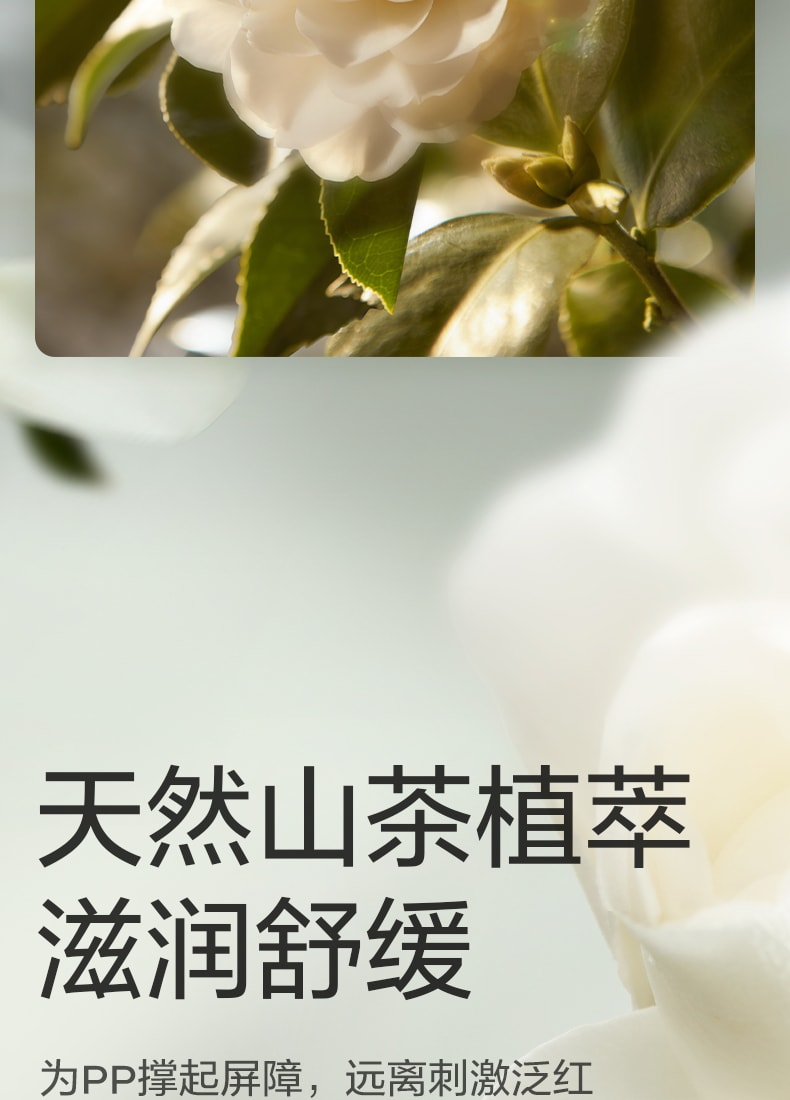 【美国直邮】 Bc Babycare 山茶轻柔婴儿纸尿裤 L码-40片/包 适用月龄7-12个月(9-14kg)