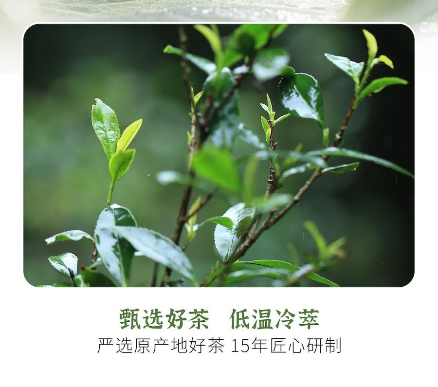  小師姐評茶 清新口氣茶含片 3盒裝 無糖茶多酚潤喉糖 茉莉白茶/烏龍/玫瑰黑茶風味 便攜清爽潤喉含片