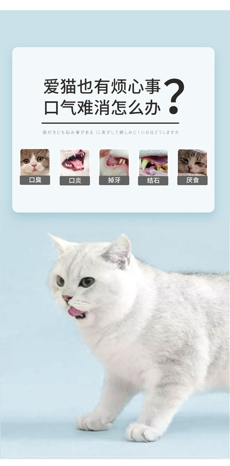 日本 HiiiGet- KOJIMA宠医百年品牌 猫咪漱口水 24条 宠物洁齿水 猫用缓解口臭 可食用
