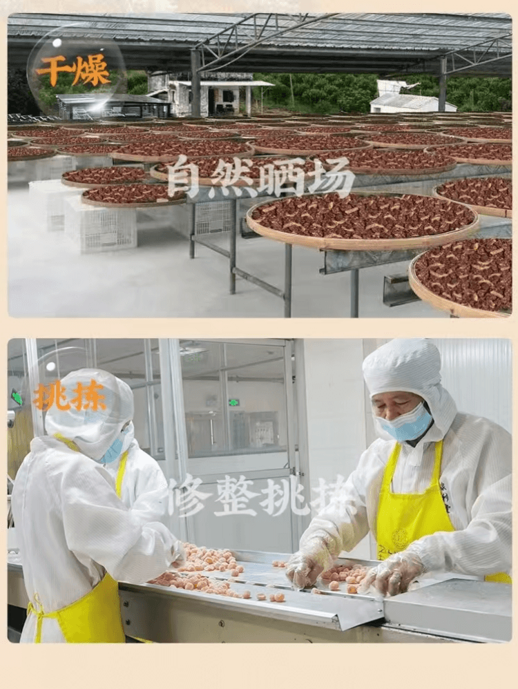 泉利堂 陈皮杨梅 传承非遗古法工艺 甄选鲜果 天然晒场晾晒 保留自然美味 100g