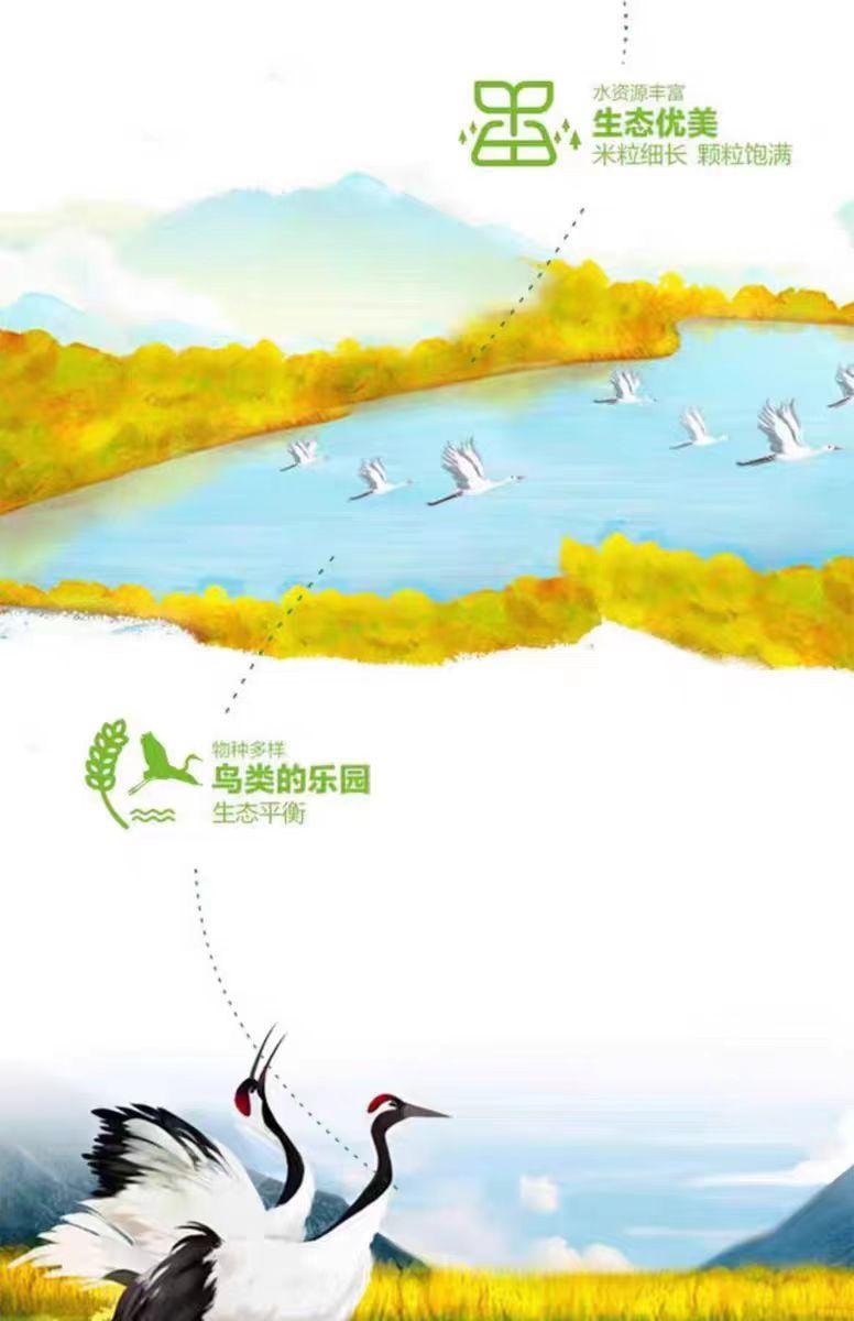 【中国直邮】 金龙鱼 稻谷鲜生大米500g*1袋