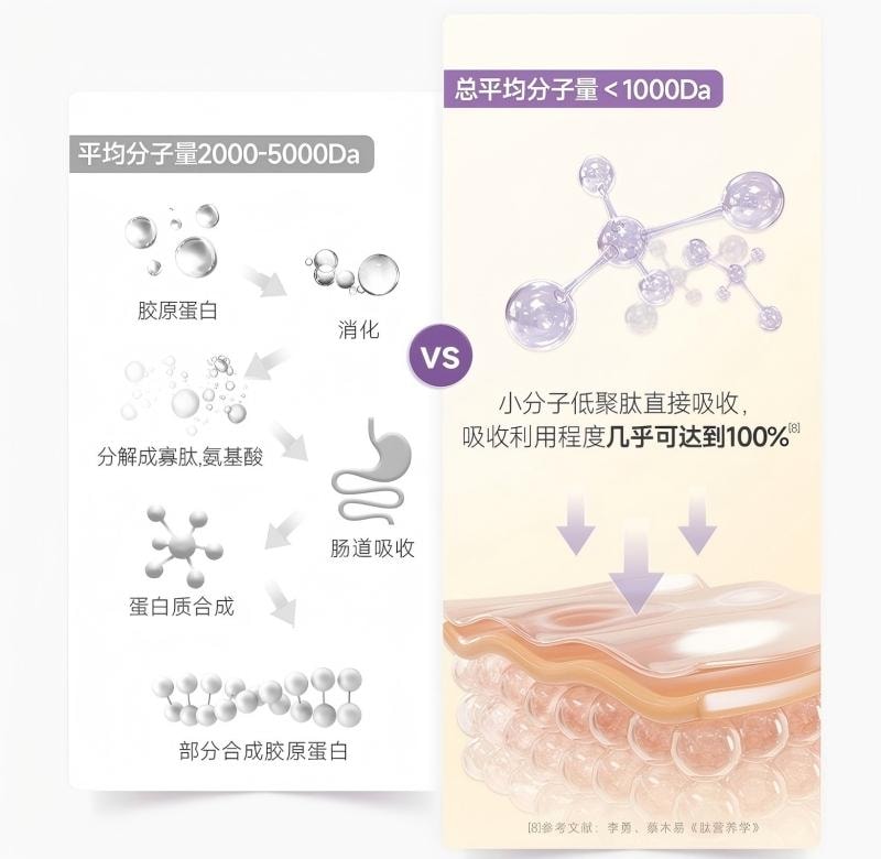 Collagen Peptide Vitamin C Drink 2.0 Collagen VC Double Supplement For Staying Up Late Party Essential 30ml * 10 Bottles