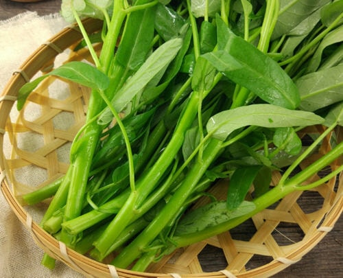四季蔬果 空心菜苗 (1磅)