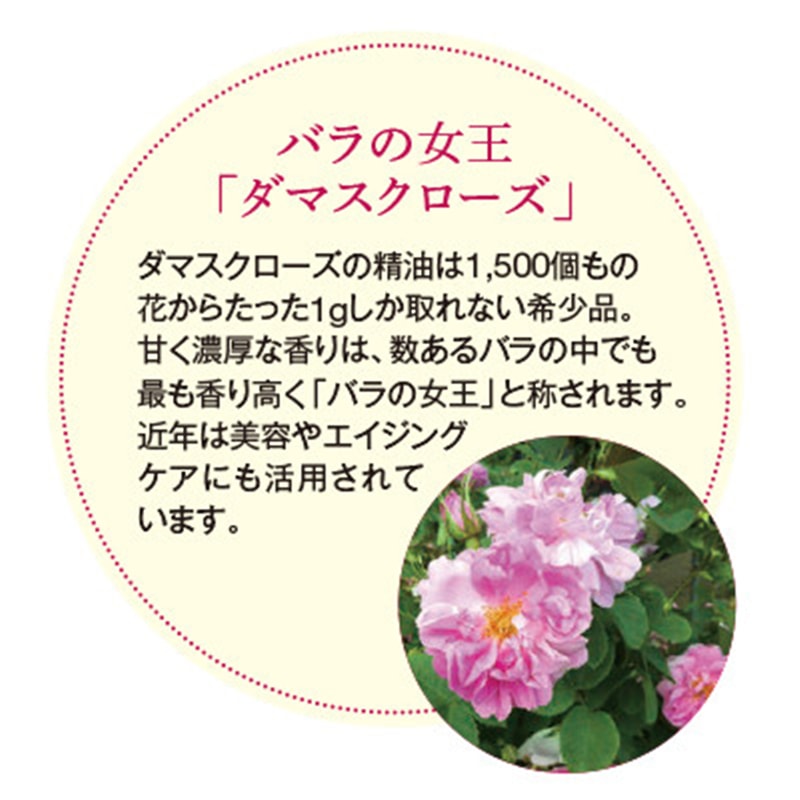 【日本直郵】DHL直郵3-5天 日本LUPICIA綠碧茶園 2021年最新限定 達馬斯克玫瑰紅茶金罐包裝 玫瑰紅茶 30g