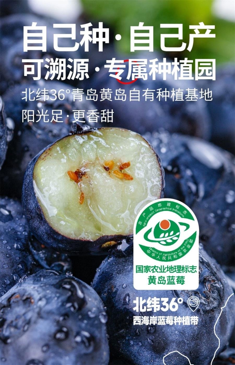 【中国直邮】 莓日饮 100%蓝莓原汁NFC蓝莓汁花青素果汁非浓缩原浆饮料   30ml*10袋