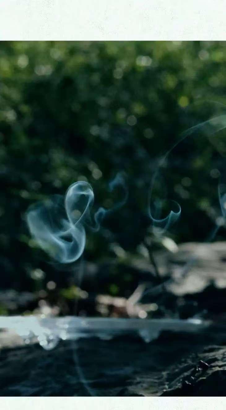 Purifying Incense Sticks Oriental Herbal Scent 21cm*30 Pieces