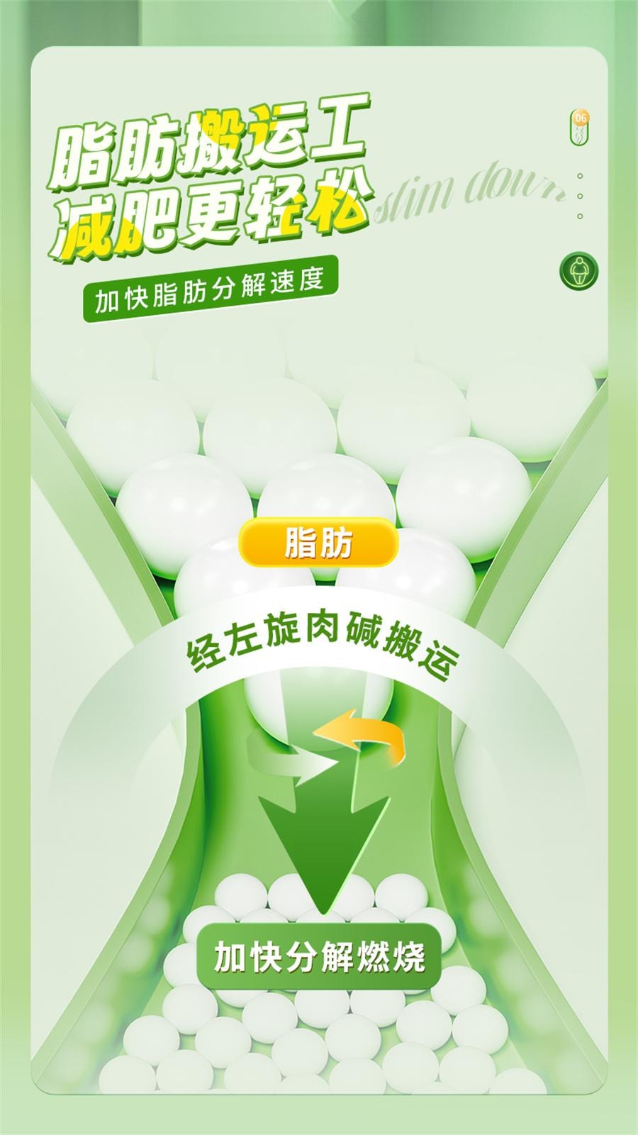 【中國直郵】 九芝堂 長興牌左旋肉鹼茶多酚膠囊 減肥排油燃脂瘦身肚子大肚腩減小腹神器左旋肉鹼40粒/瓶