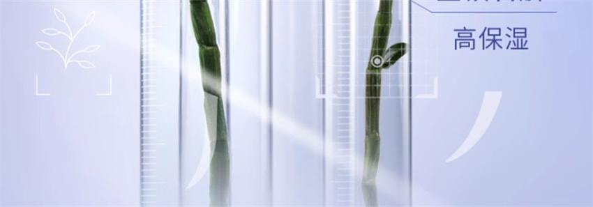 【中国直邮】 HERBORIST佰草集 佰草集 双石斛洁面泡氨基酸泡沫洗面奶 洁面慕斯深层清洁温和舒缓 145ml/瓶(小红书种草推荐)