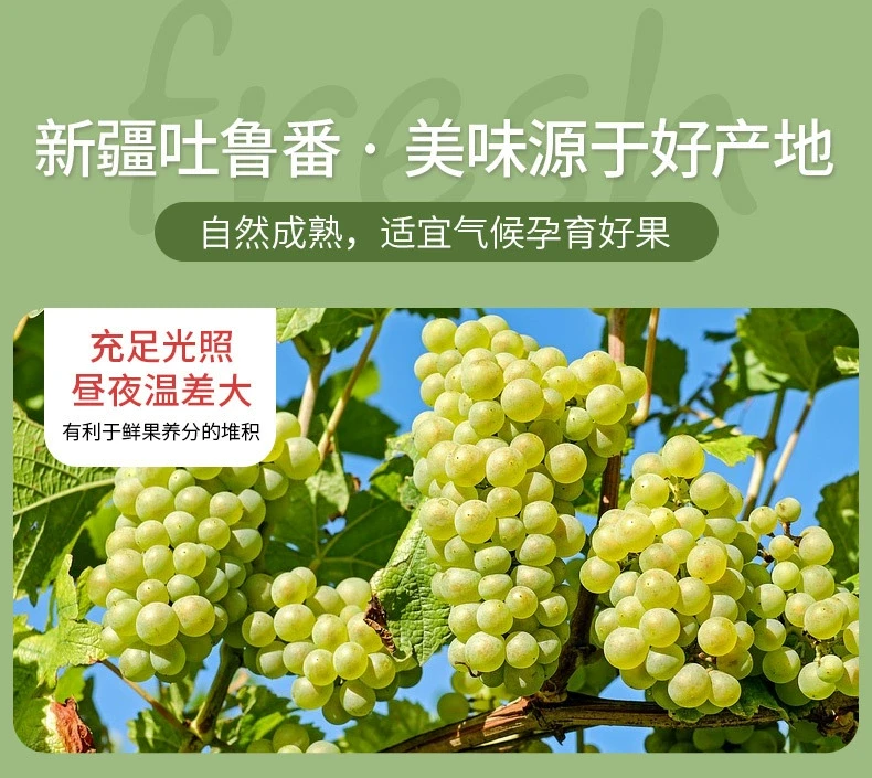 中國 好想你 新疆無核白葡萄乾228g 新疆吐魯番特產果乾果脯葡萄乾