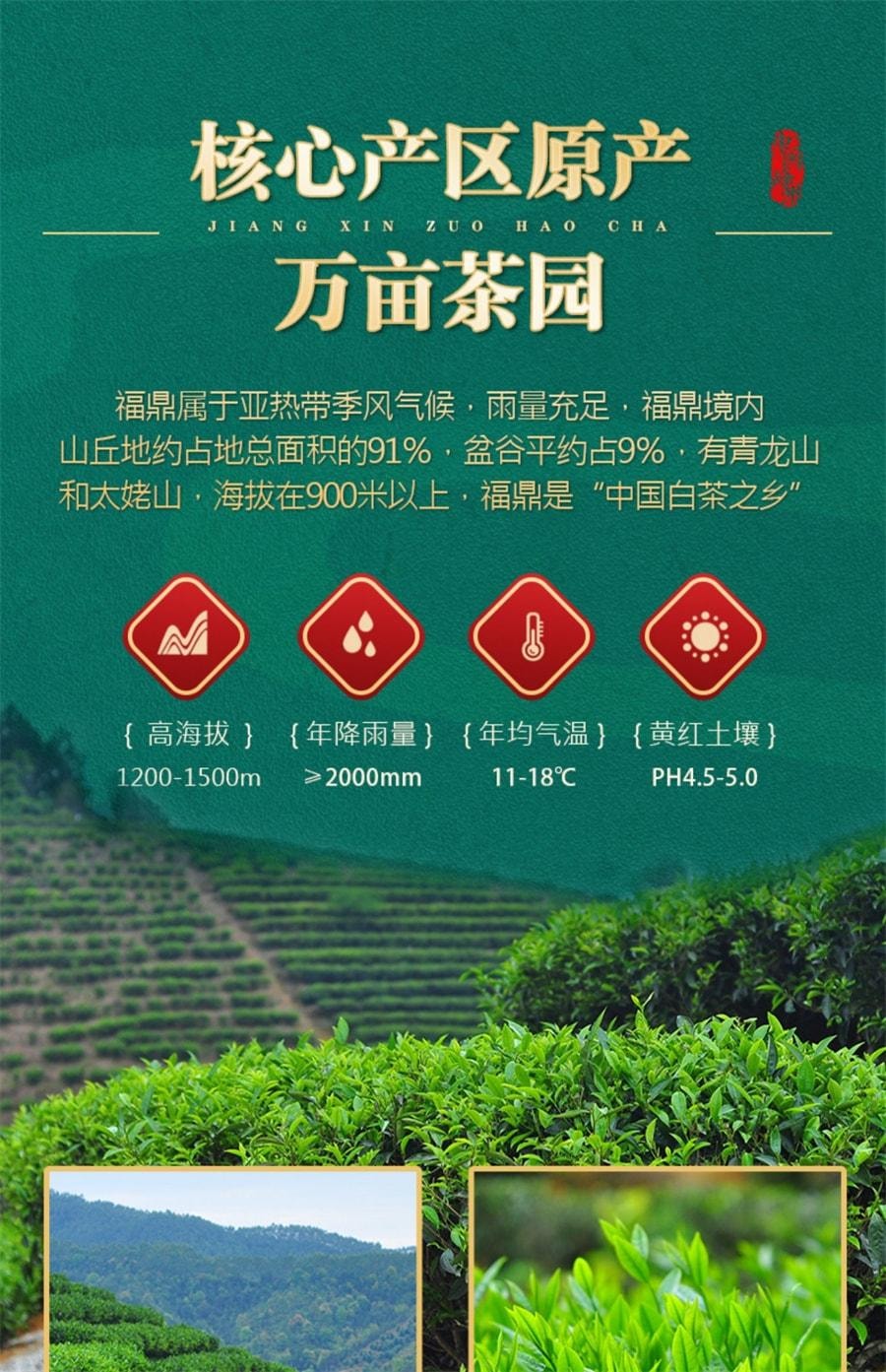【中国直邮】 中闽峰州 福鼎白茶饼小茶饼寿眉紧压茶叶老白茶饼干礼盒装 500g/桶