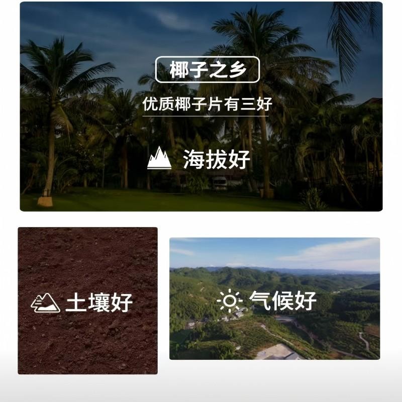 【中國直郵】 新邊界 椰子脆片海南特產原味椰子片即食零食烤椰子肉薄脆椰果乾食品小吃休閒零食200g
