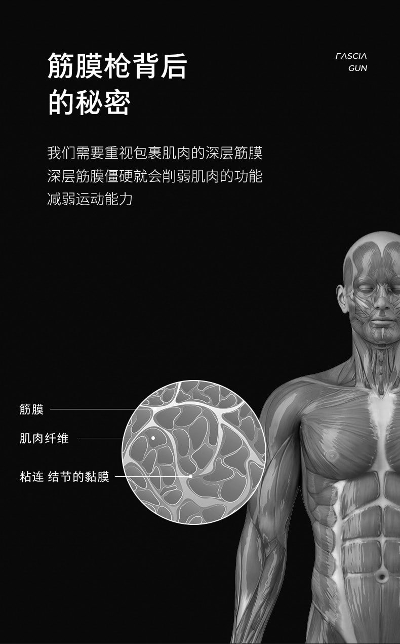 【中国直邮】MINI筋膜枪无刷小型按摩枪肌肉放松器 黑色款