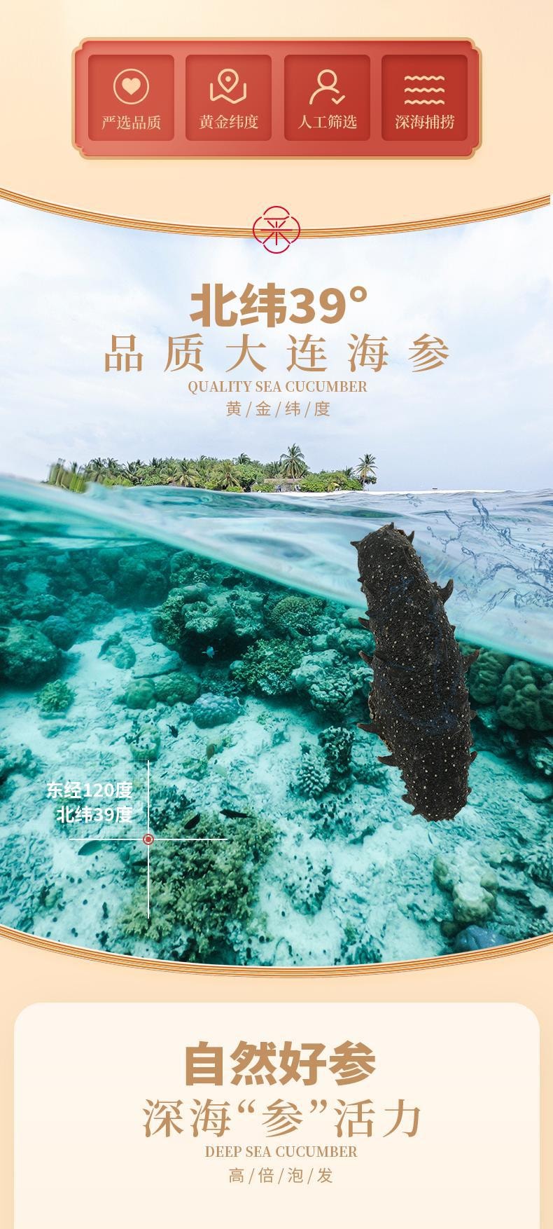【金装海参礼盒】野生海参干货150g纯淡干发率高深海辽刺参海渗叁礼盒孕妇提高免疫秋冬滋补