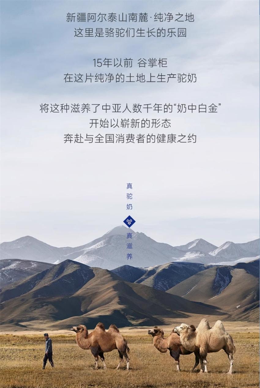 中国からの直送】古張桂全粒粉ビスケット、高糖質制限、朝食代替全粒粉 
