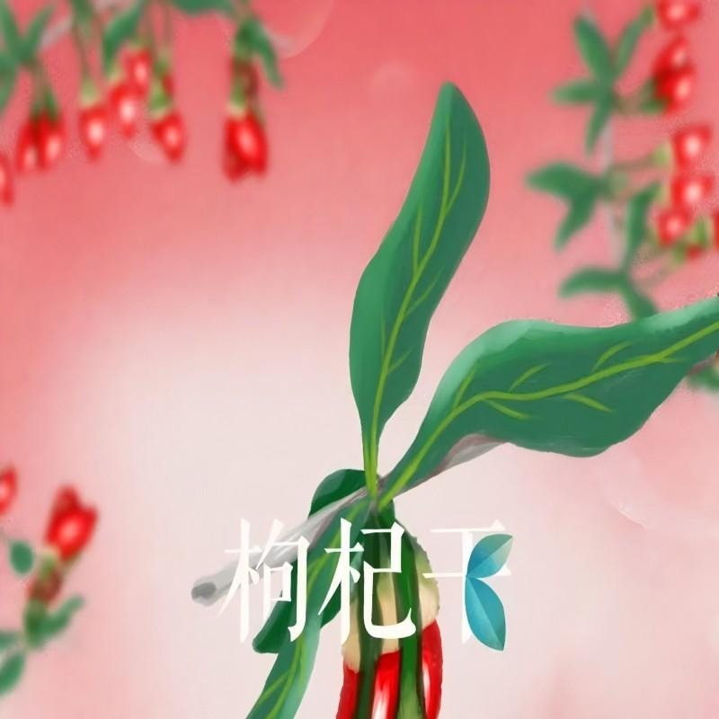 【中國直郵】 新邊界 特級枸杞紅枸杞不熏硫免洗紅枸杞子 泡酒可乾吃養生滋補枸杞茶煲湯煮粥送禮長輩父母家長年貨400g