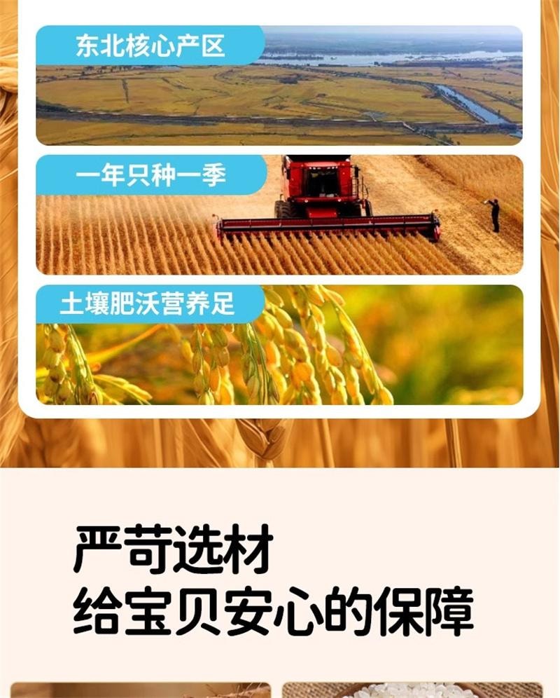 【中国直邮】 福东海 山药燕麦粉 铁棍山药燕麦粉早餐懒人速食儿童燕麦粥米糊 400g