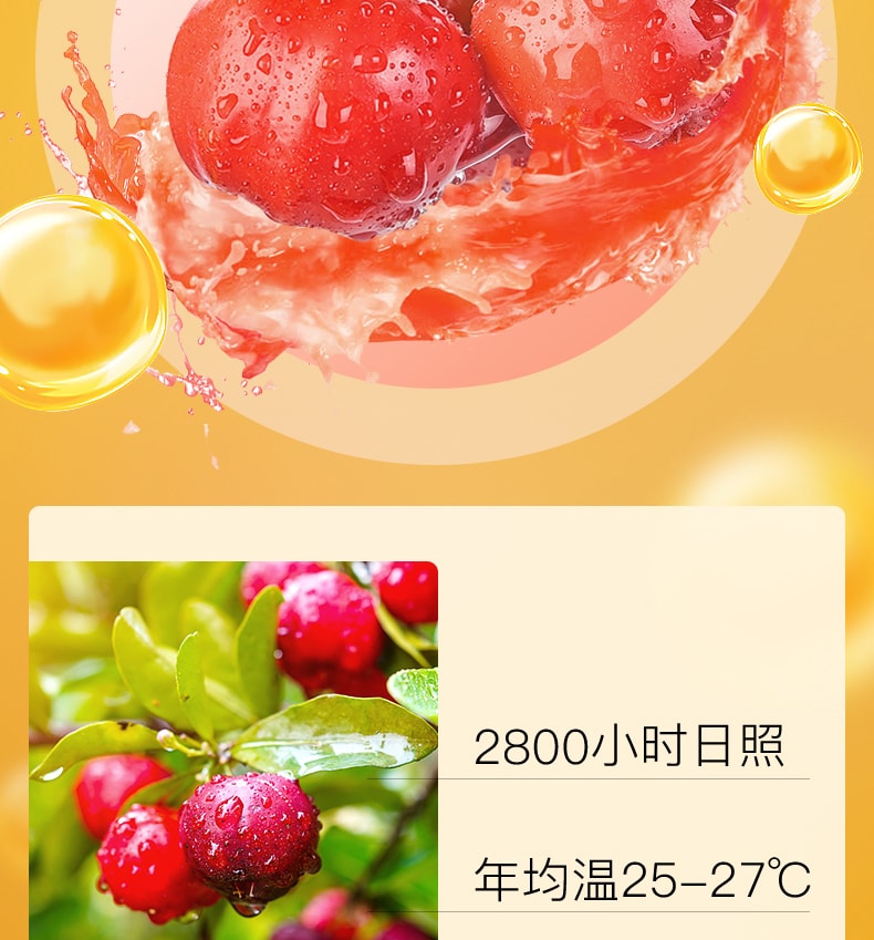 【中國直郵】Mama Mujer 小C盾1200針葉櫻桃固體飲料2g*12條/盒