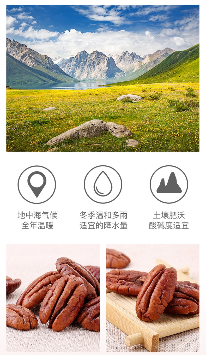 【China Direct Mail】BE&CHEERY -Pecan Nuts 56g