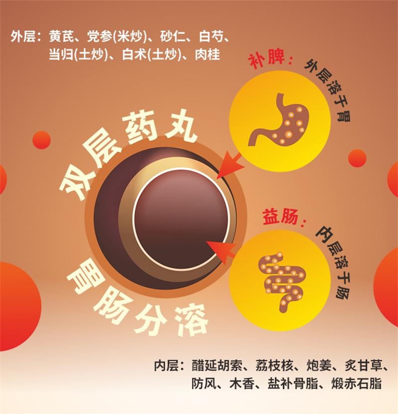 【中国直邮】 陈李济 白云山 补脾益肠丸 腹胀腹痛肠鸣腹泻脾虚气滞脾胃调理健脾止泻 130g