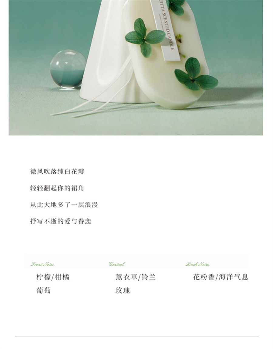 【中國直郵】CITTA西苔 香薰蠟片家用衣櫃持久清香除味掛片香氛香掛 韓粉-陽光玫瑰