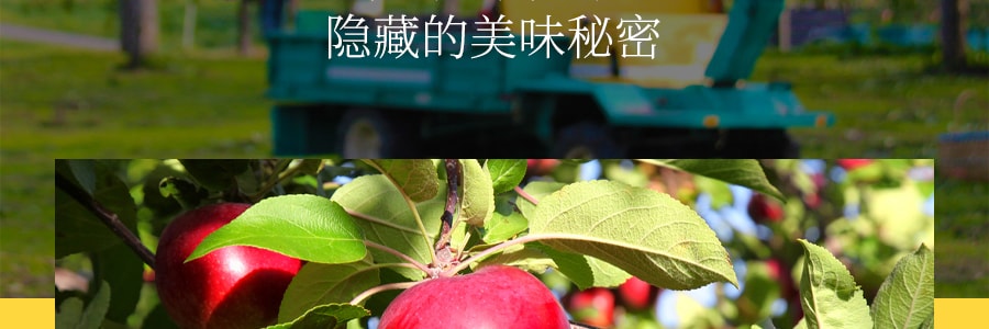【台灣必買伴手禮】微熱山丘 蘋果酥 500g 選取日本青森蘋果