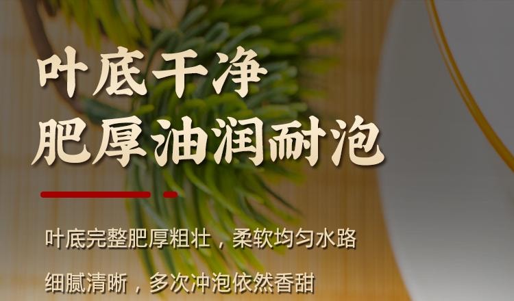 中茶 雲南普洱茶葉 熟茶Y562 罐裝 100g