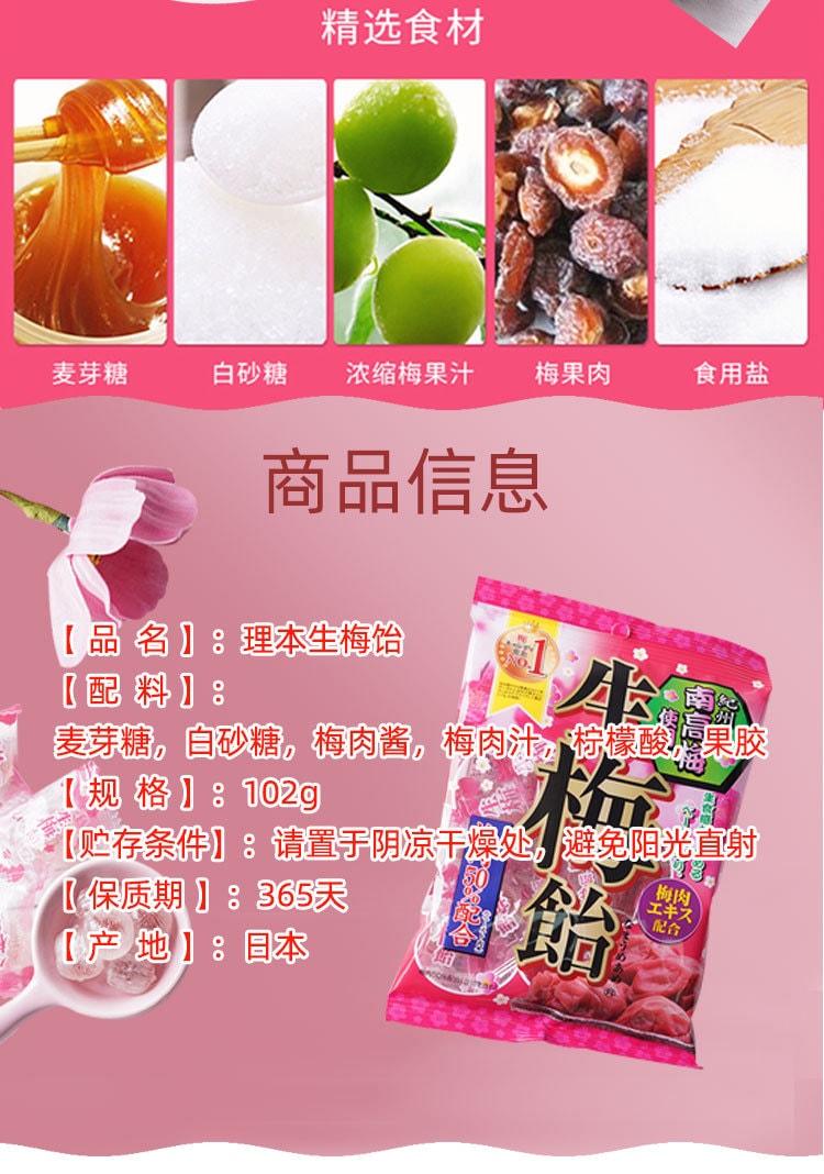 【日本直郵】RIBON理本 生梅飴水果梅子糖 含梅肉 110g